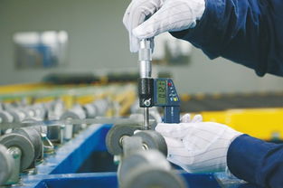 打造玻璃工業(yè)奇跡的 蚌埠密碼