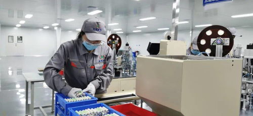 每天15萬 金鯉魚 出 金 入 海 金拓鋰電新能源公司鋰電子正極材料及電池生產(chǎn)項目有序推進