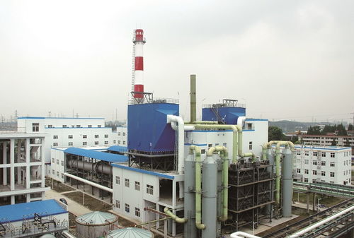 江蘇又殺出 90后女董事長 29歲當上a股掌門人,年營收18.34億