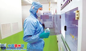 聚集顯合力 趁勢再揚帆 贛州特色產業迸發新活力 圖